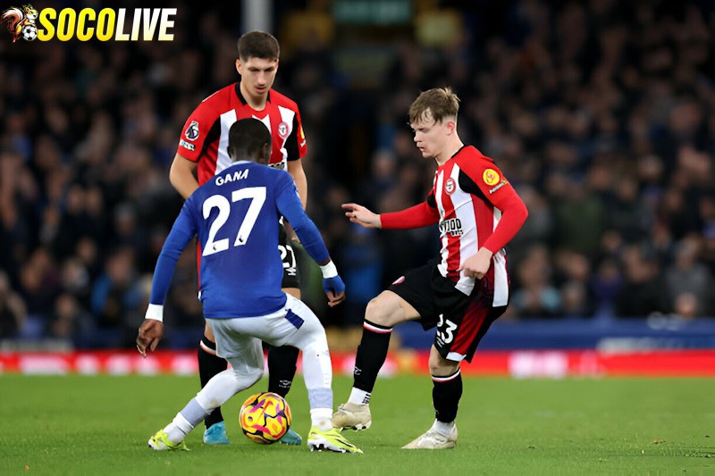 Brentford sẽ tiếp đón Everton trên sân nhà tại vòng 27 Ngoại Hạng Anh Brentford sẽ tiếp đón Everton trên sân nhà tại vòng 27 Ngoại Hạng Anh