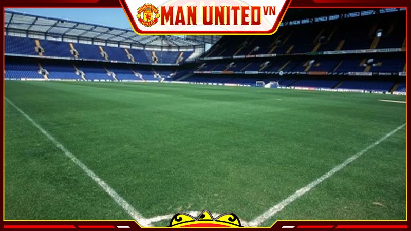 Mặt cỏ ở sân vận động Stamford Bridge Mặt cỏ ở sân vận động Stamford Bridge